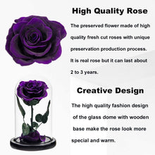 Load image into Gallery viewer, Preserved Rose Purple Real Rose in Glass Dome, Roses Never Withered Flower Gifts for Her, Valentine'S Day, Mother'S Day, Birthday, Christmas Medium
