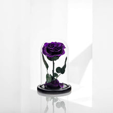 Load image into Gallery viewer, Preserved Rose Purple Real Rose in Glass Dome, Roses Never Withered Flower Gifts for Her, Valentine'S Day, Mother'S Day, Birthday, Christmas Medium