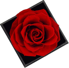 Load image into Gallery viewer, Preserved Flower Rose with Love You Necklace in 100 Languages Gift for Her, Enchanted Real Rose Flower Valentine'S Mother'S Day Anniversary Wedding Romantic Gift for Girlfriend Wife Mom