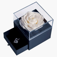 Load image into Gallery viewer, Preserved Rose with I Love You Necklace in 100 Languages, Jewelry Box Set, Romantic Real Rose, Birthdays Gifts, Immortal Roses, Valentines Day Gift, Mother'S Day, Fresh Roses. (Beige)
