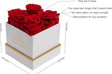 Load image into Gallery viewer, Preserved Real Roses in a Box Eternal Rose Gift Box Unique Gift Set for Her Long Lasting Roses Preserved Fresh Real Flower Rose Immortal Roses Valentine’S Day Anniversary Birthday Gift
