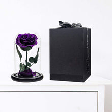 Load image into Gallery viewer, Preserved Rose Purple Real Rose in Glass Dome, Roses Never Withered Flower Gifts for Her, Valentine'S Day, Mother'S Day, Birthday, Christmas Medium