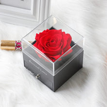 Load image into Gallery viewer, Preserved Flower Rose with Love You Necklace in 100 Languages Gift for Her, Enchanted Real Rose Flower Valentine'S Mother'S Day Anniversary Wedding Romantic Gift for Girlfriend Wife Mom