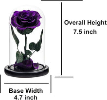 Load image into Gallery viewer, Preserved Rose Purple Real Rose in Glass Dome, Roses Never Withered Flower Gifts for Her, Valentine'S Day, Mother'S Day, Birthday, Christmas Medium
