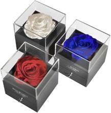 Load image into Gallery viewer, Preserved Rose with I Love You Necklace in 100 Languages, Jewelry Box Set, Romantic Real Rose, Birthdays Gifts, Immortal Roses, Valentines Day Gift, Mother'S Day, Fresh Roses. (Beige)