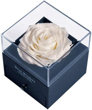 Load image into Gallery viewer, Preserved Rose with I Love You Necklace in 100 Languages, Jewelry Box Set, Romantic Real Rose, Birthdays Gifts, Immortal Roses, Valentines Day Gift, Mother'S Day, Fresh Roses. (Beige)