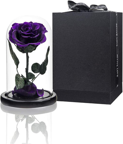 Preserved Rose Purple Real Rose in Glass Dome, Roses Never Withered Flower Gifts for Her, Valentine'S Day, Mother'S Day, Birthday, Christmas Medium